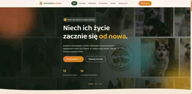 Strona Schronisko w Borku
