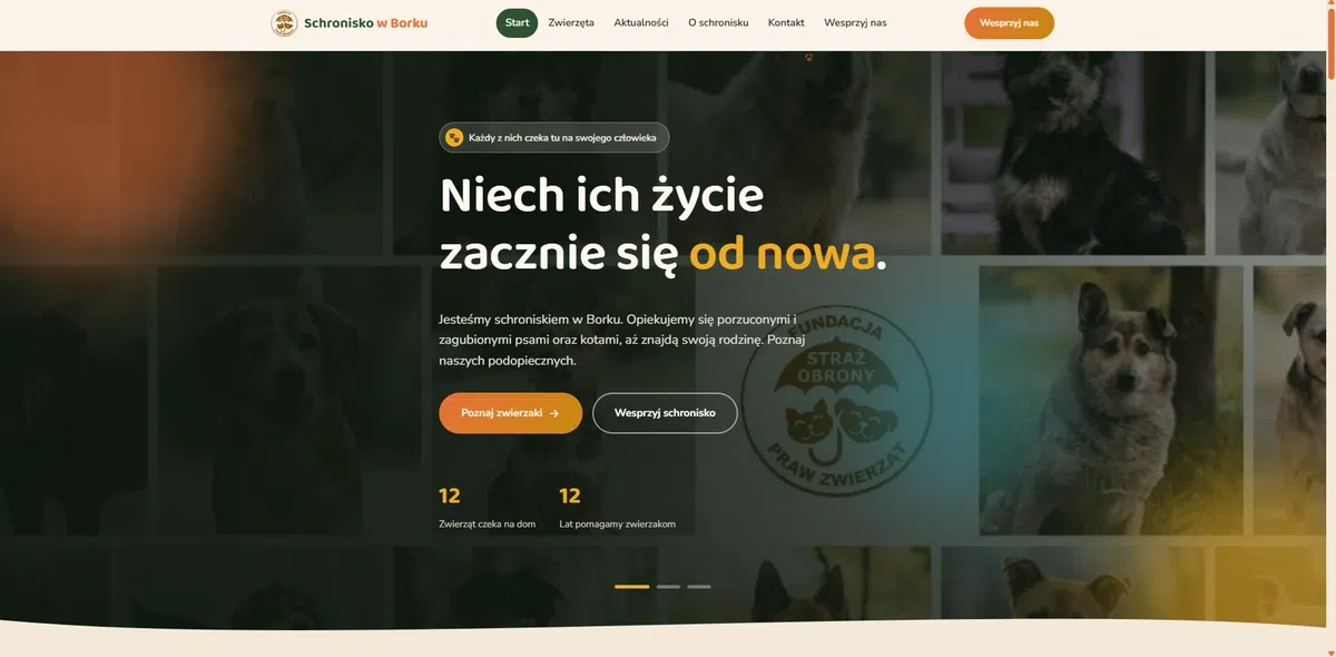 Strona Schronisko w Borku – zrzut ekranu realizacji KreativSEO