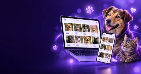 Nowa strona dla Schroniska w Borku – adoptuj24.pl z własnym systemem CMS